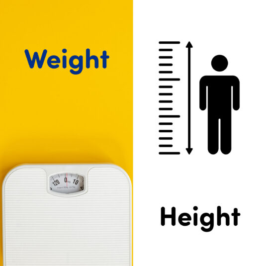 scales and height chart
