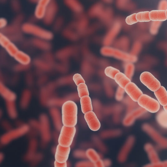 Microscopic bacteria associated with meningitis, sepsis, and pneumonia.