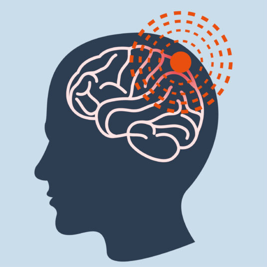 Illustration of the brain