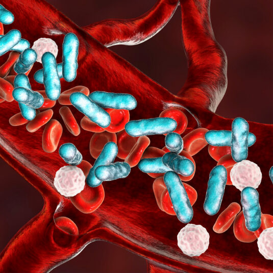 Illustration of bacteria in the bloodstream, representing sepsis