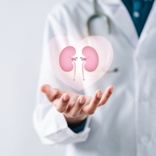 Doctor holding a kidney health symbol, representing kidney care or treatment.