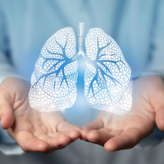 Illustration of lungs held above open hands, representing respiratory or lung health.